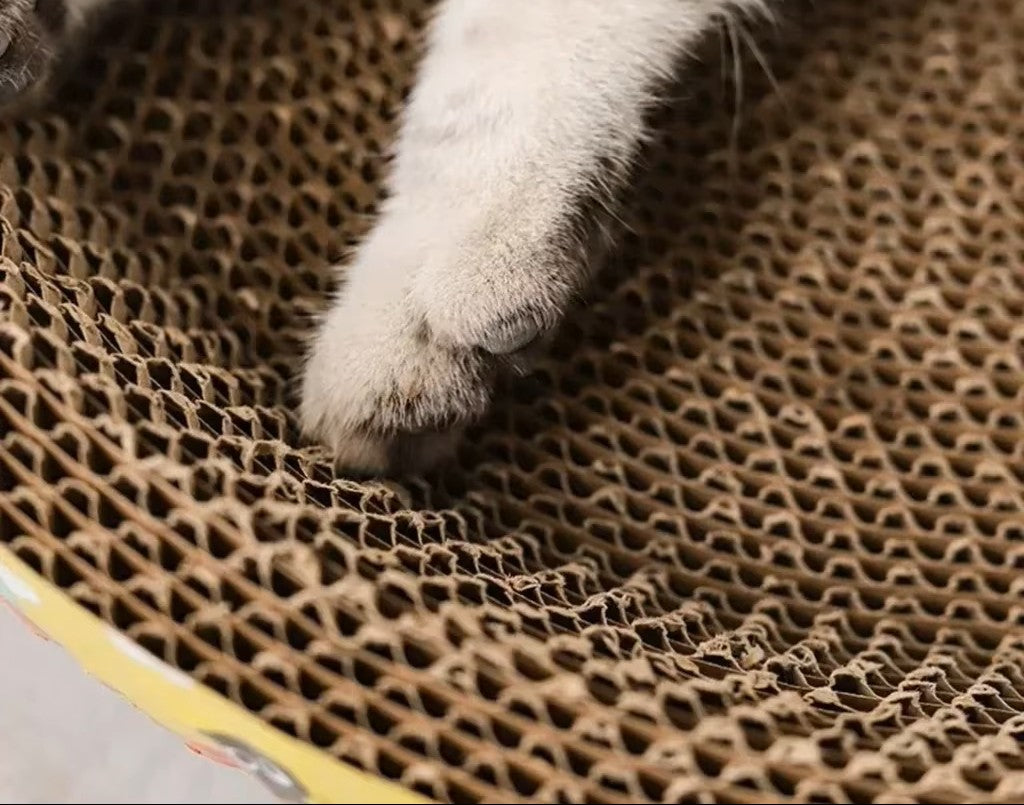 Owalny drapak dla Kota z Tektury Falistej