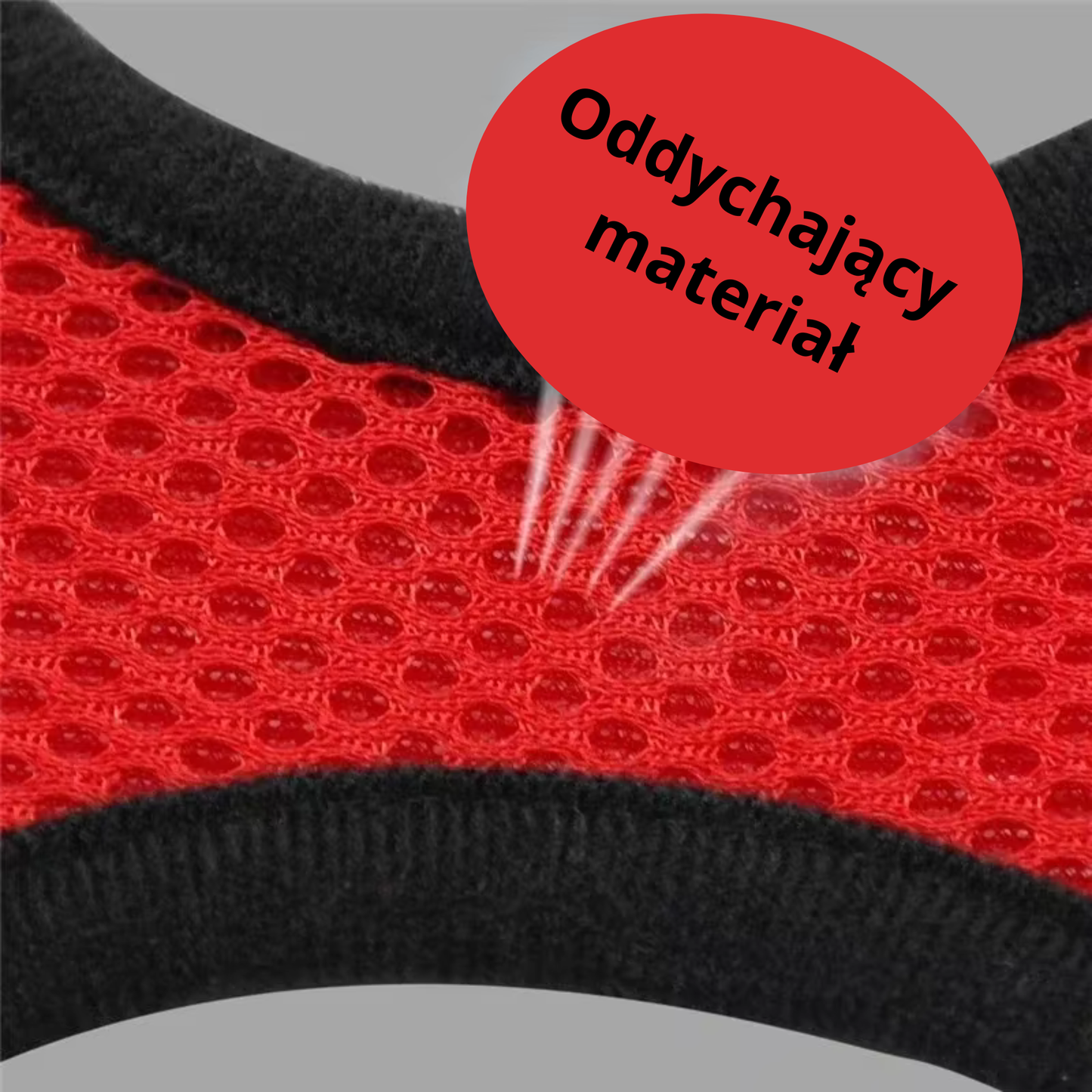 Regulowana Uprząż/Szelki dla Kota