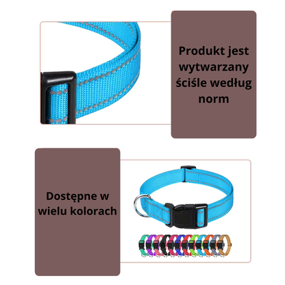 Wytrzymała obroża dla psa ze stylowym designem