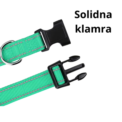 Wytrzymała obroża dla psa ze stylowym designem