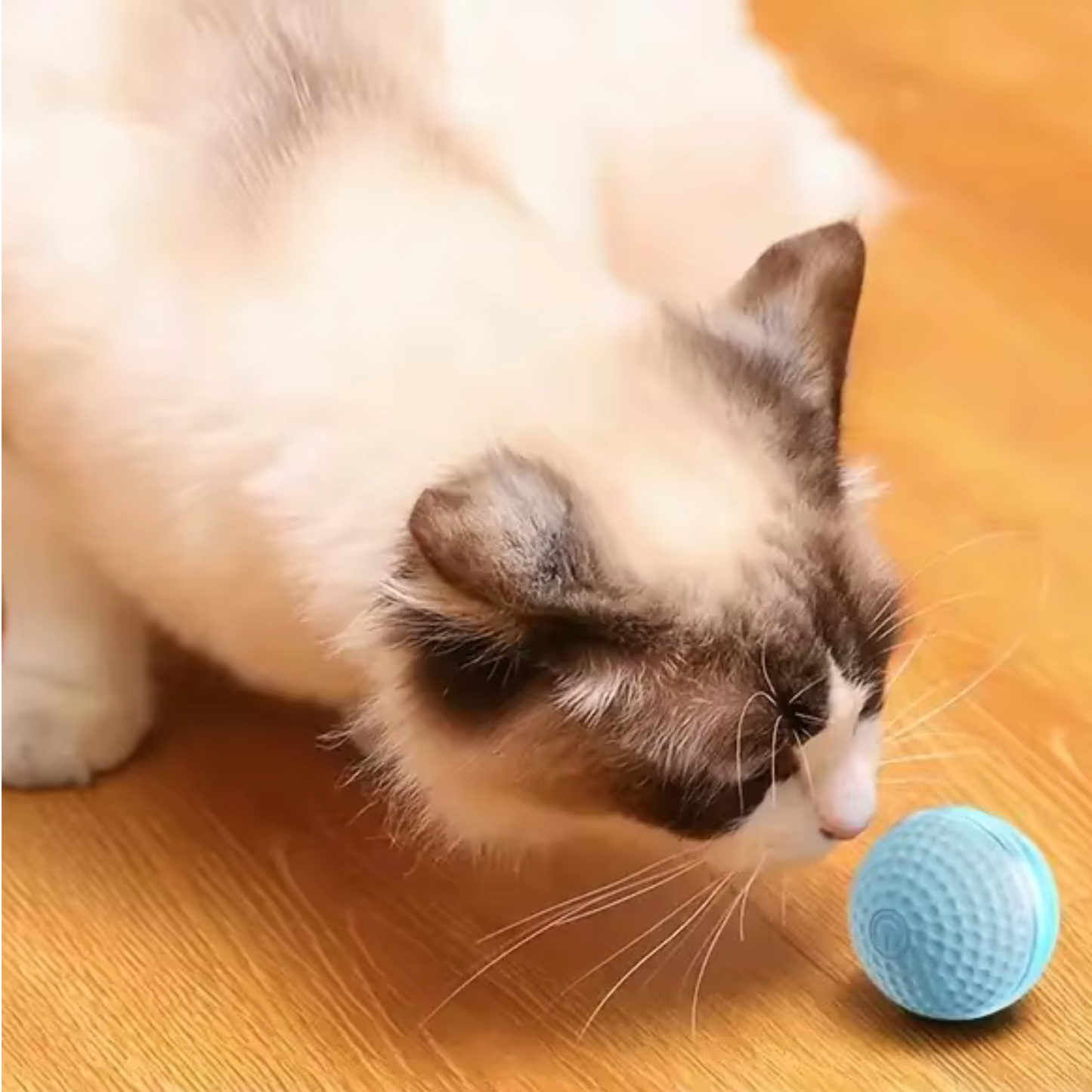 Inteligentna Interaktywna Piłka dla Kota – Automatyczna Zabawka