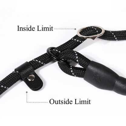 Mocna smycz dla psa – wyściełana, odblaskowa smycz dla psów