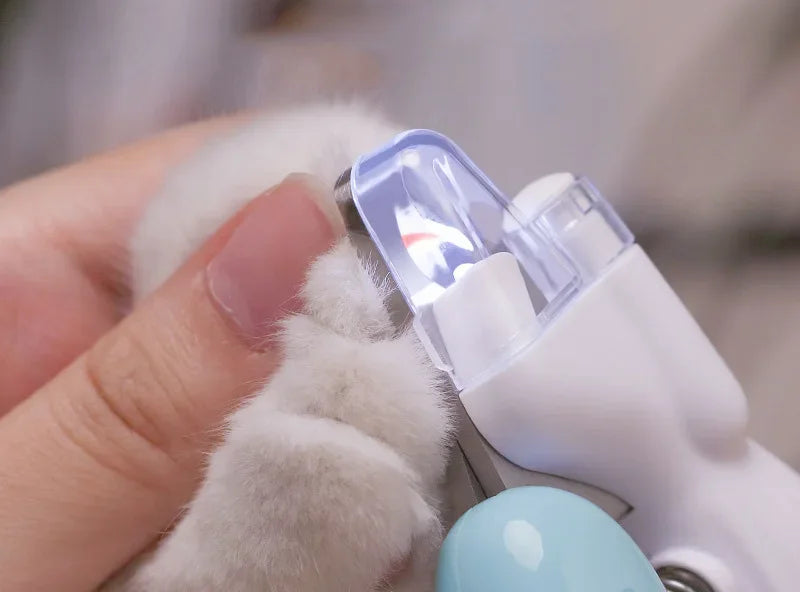 Profesjonalny obcinacz do pazurów dla psa i kota z podświetleniem LED