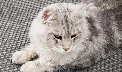 Dwuwarstwowa Mata na Żwirek dla Kota z Wodoodporną Powłoką