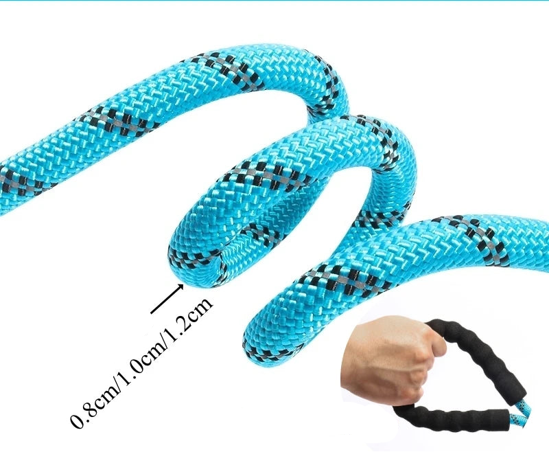 Mocna smycz dla psa – wyściełana, odblaskowa smycz dla psów