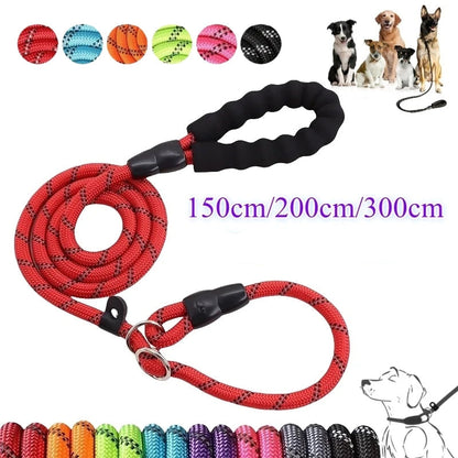 Mocna smycz dla psa – wyściełana, odblaskowa smycz dla psów