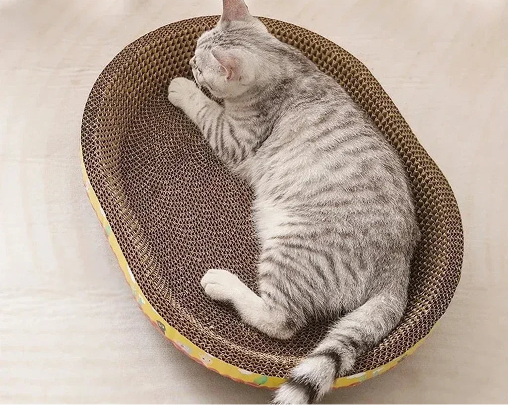 Owalny drapak dla Kota z Tektury Falistej