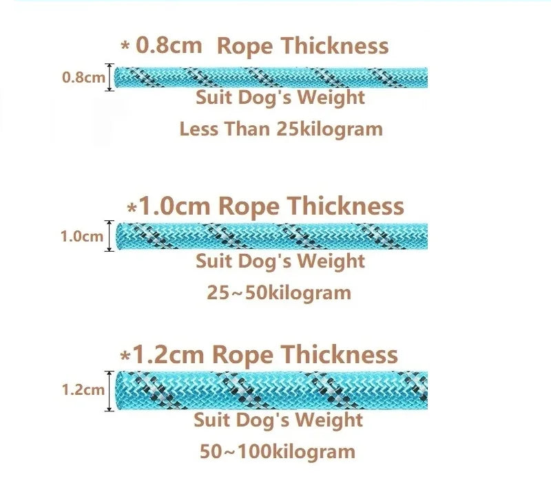 Mocna smycz dla psa – wyściełana, odblaskowa smycz dla psów