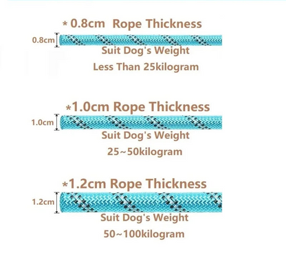 Mocna smycz dla psa – wyściełana, odblaskowa smycz dla psów