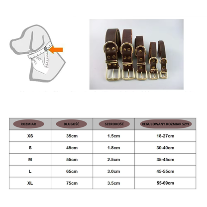 Brązowa skórzana obroża dla psa – klasyczny, elegancki styl